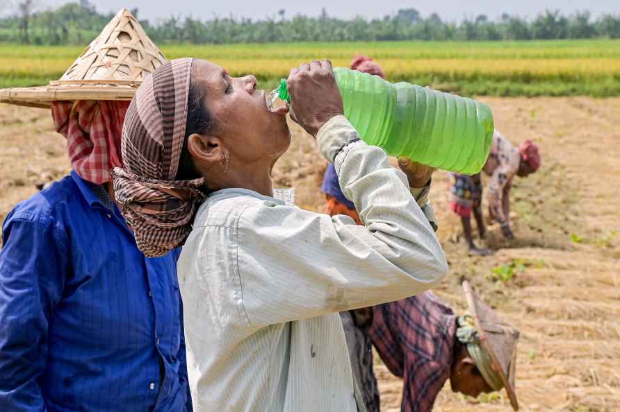 Nadia: A labourer drinks water on a hot summer day at an agricultural...