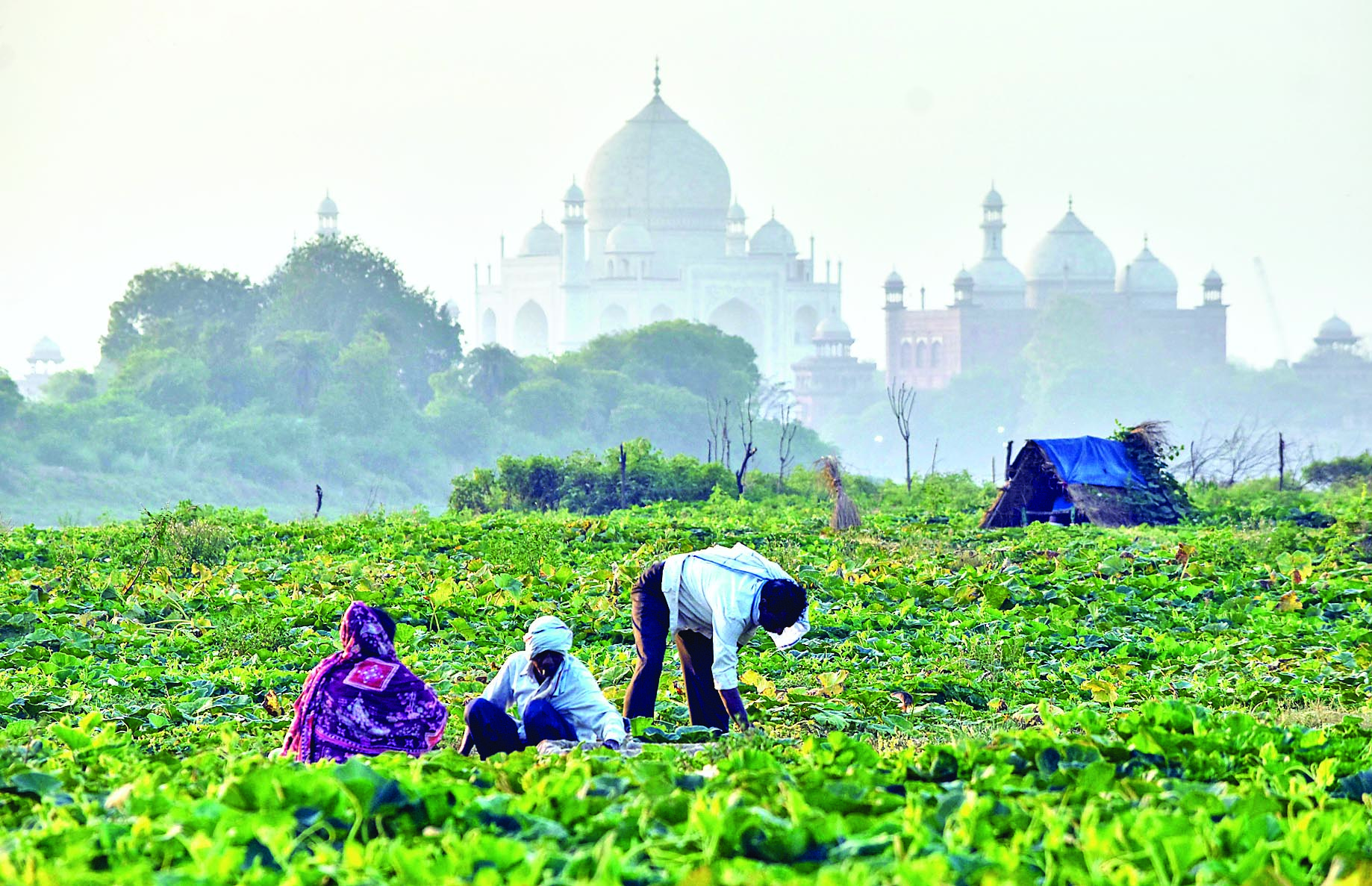 Kisan Sarathi connects nearly 3 crore farmers with digital advisory services